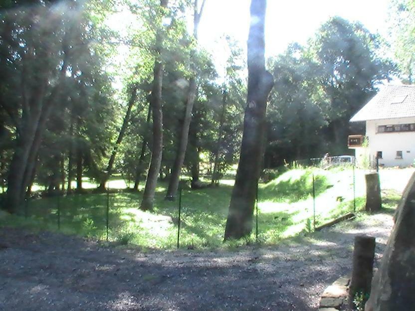 Gite De La Baerenbach Hazelbourg Exterior foto