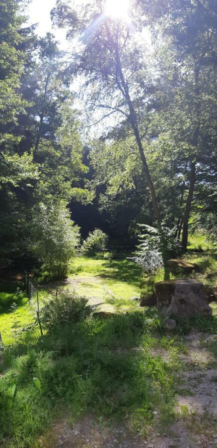 Gite De La Baerenbach Hazelbourg Exterior foto